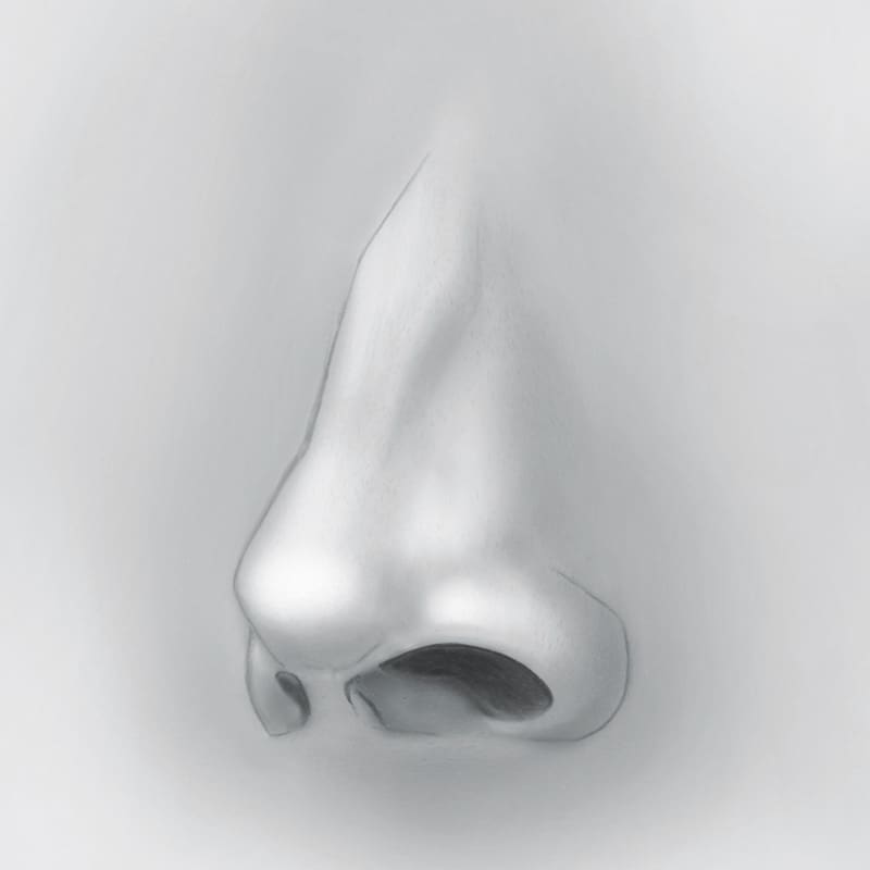 Nose Surgery Rhinoplasty